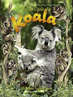 cover image of The Life Cycle of a Koala